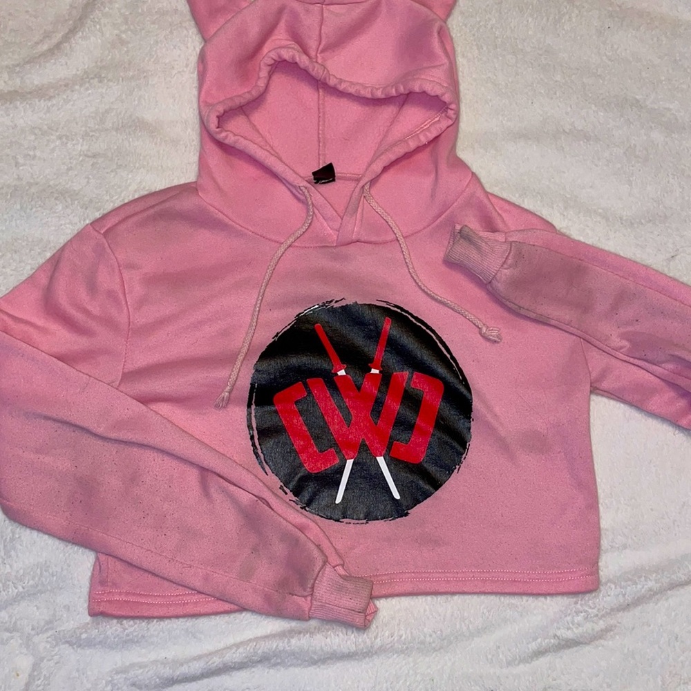 This is a Chad Wild Clay cropped hoodie with cat ears!!